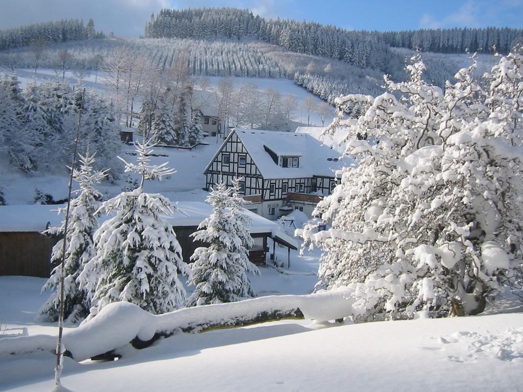 Appartement Gasthaus Wollmeiner à Schmallenberg Extérieur photo